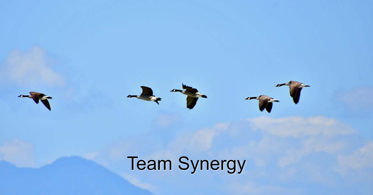 Team Synergy