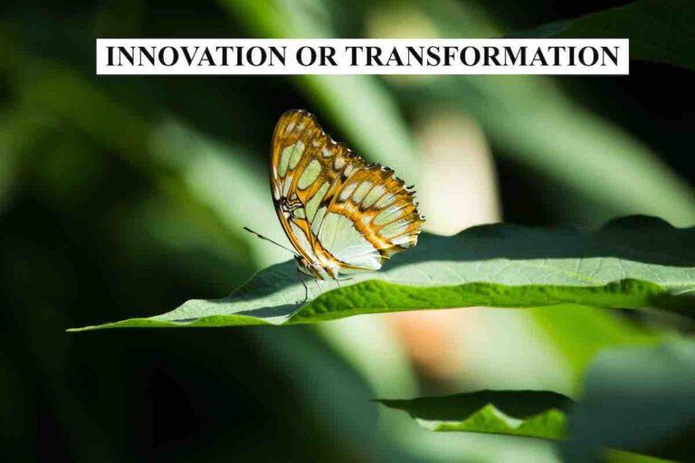 Innovation versus Transformation