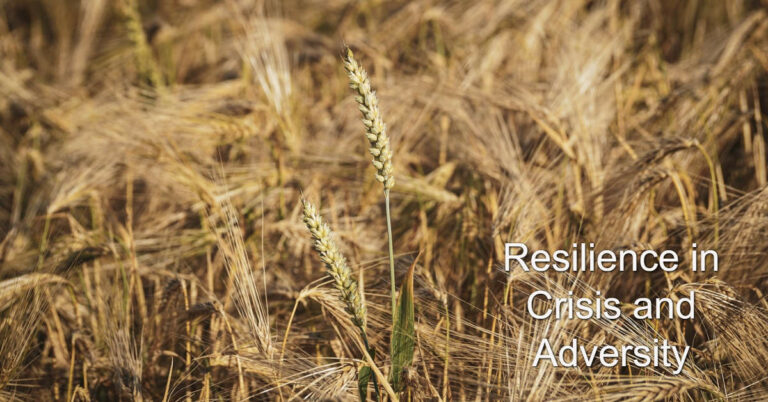 Resilience in Crisis, Adversity and Change